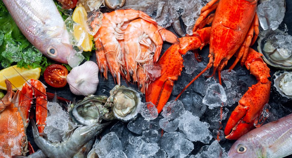 Fruits de mer surgelés : homard, crevettes, huîtres et poisson